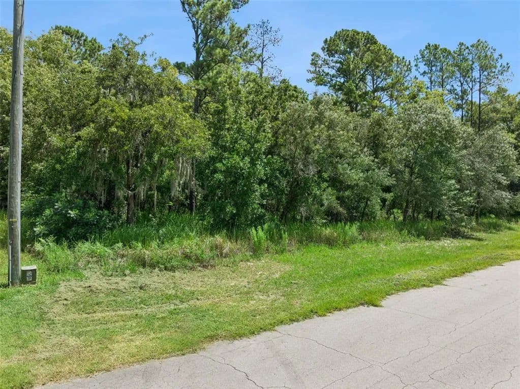 Vacant Land in Ocala - Ocala, Florida, 34473