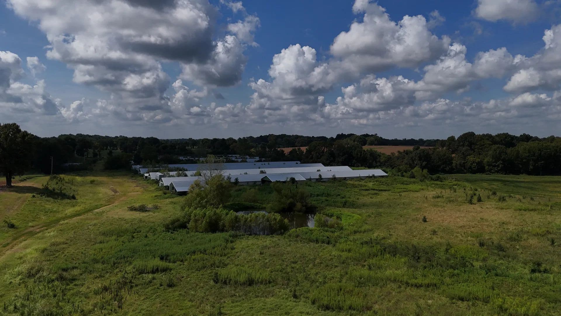 Lots & Land-Other in Union City - Union City, Tennessee, 38261