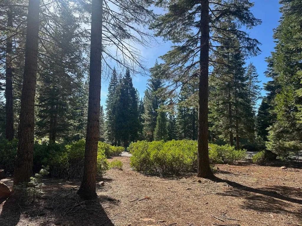 Vacant Land in Lake Almanor - Lake Almanor, California, 96137