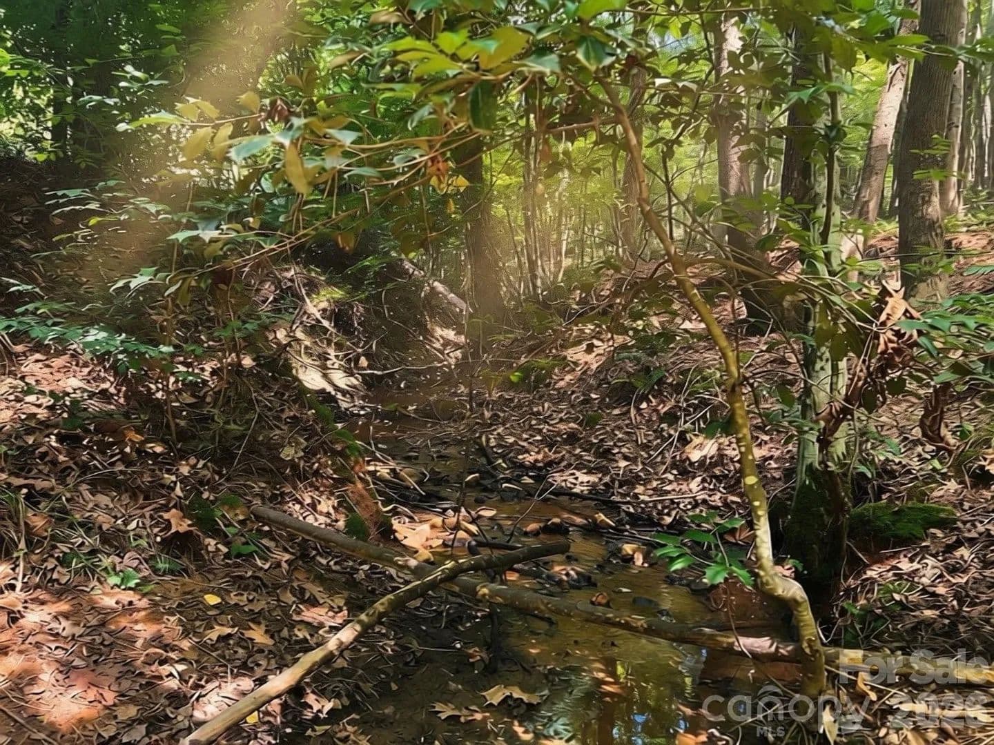 Lots & Land-Other in Sherrills Ford - land for sale