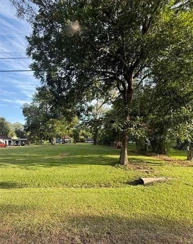 Lots & Land-Other in Sour Lake - Sour Lake, Texas, 77659