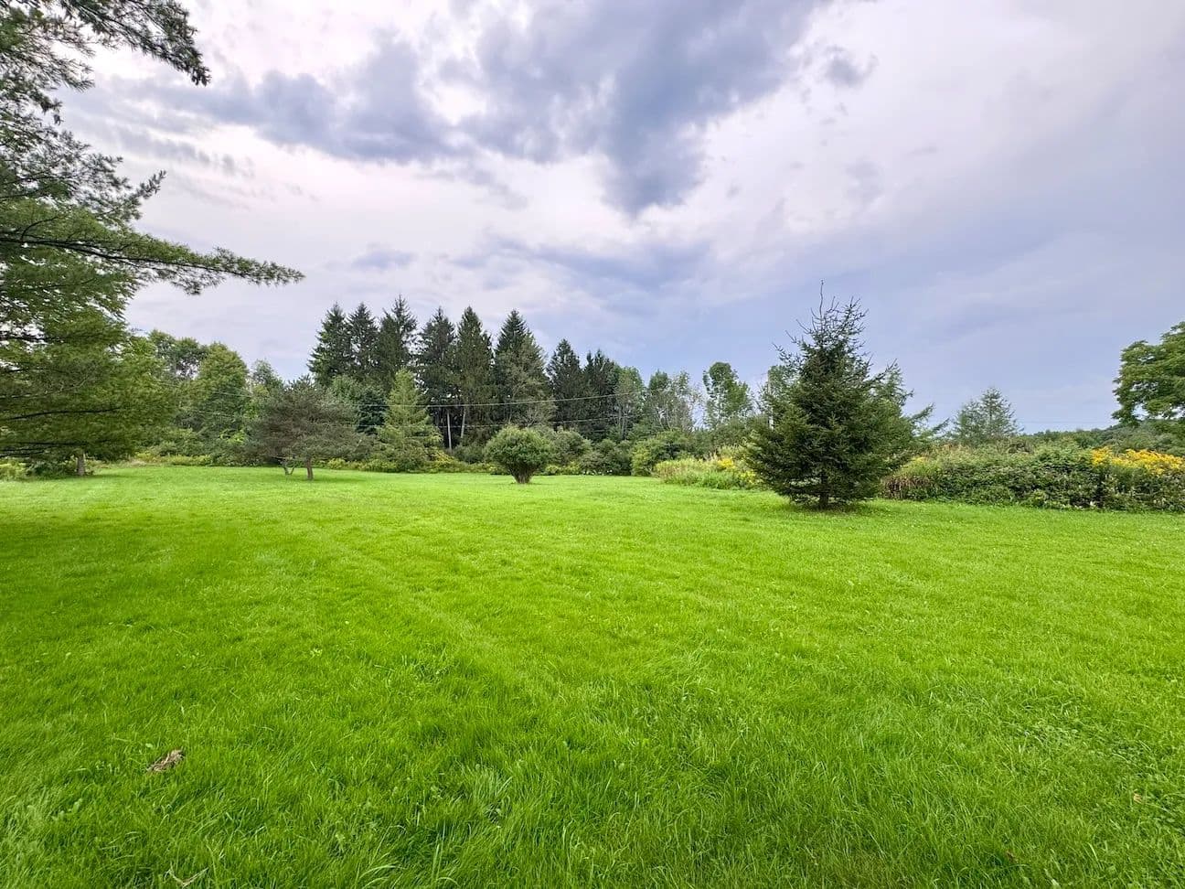 35 acres Recreational Land, Hunting Land and Building Site in Angelica NY Common Rd - Angelica, New York, 14709