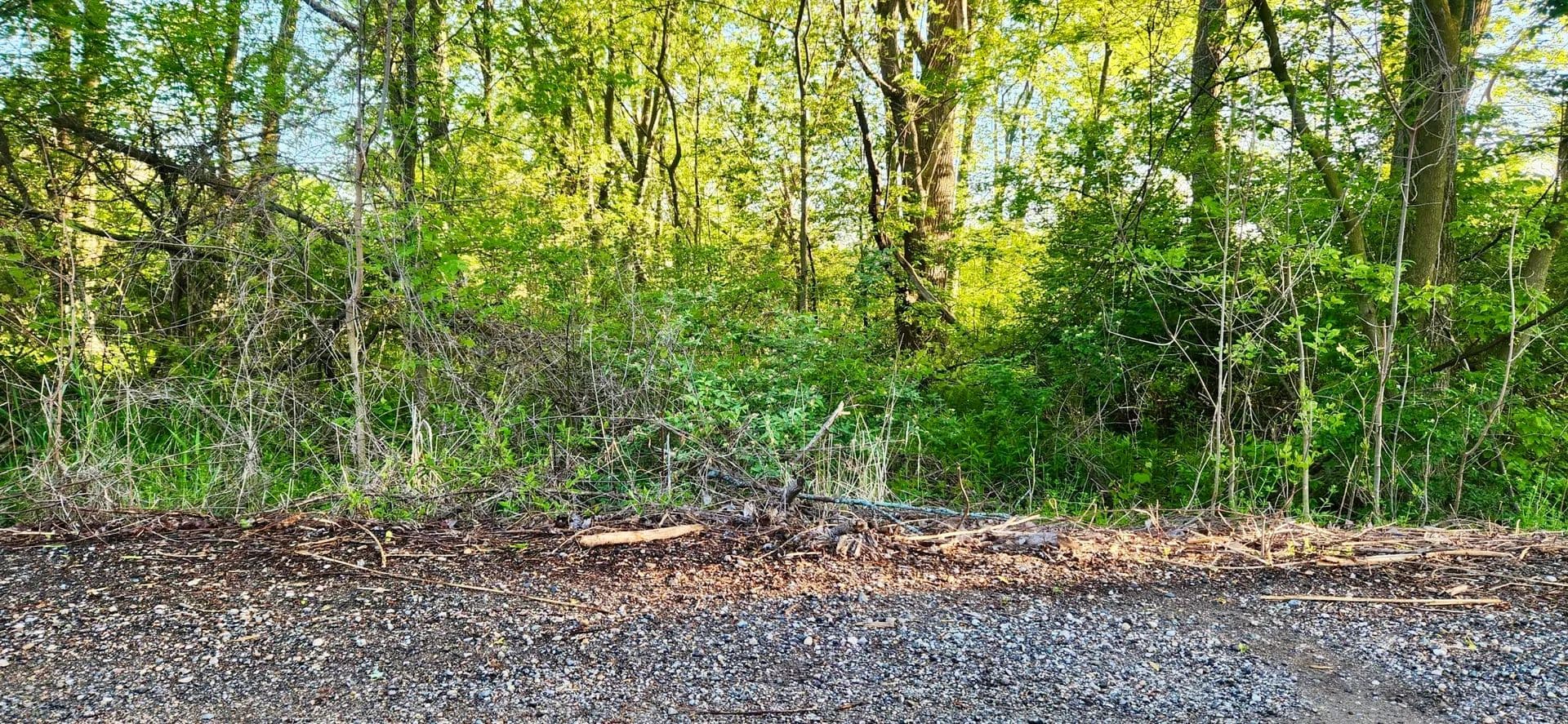 Vacant Land in Holland - Holland, Michigan, 49424