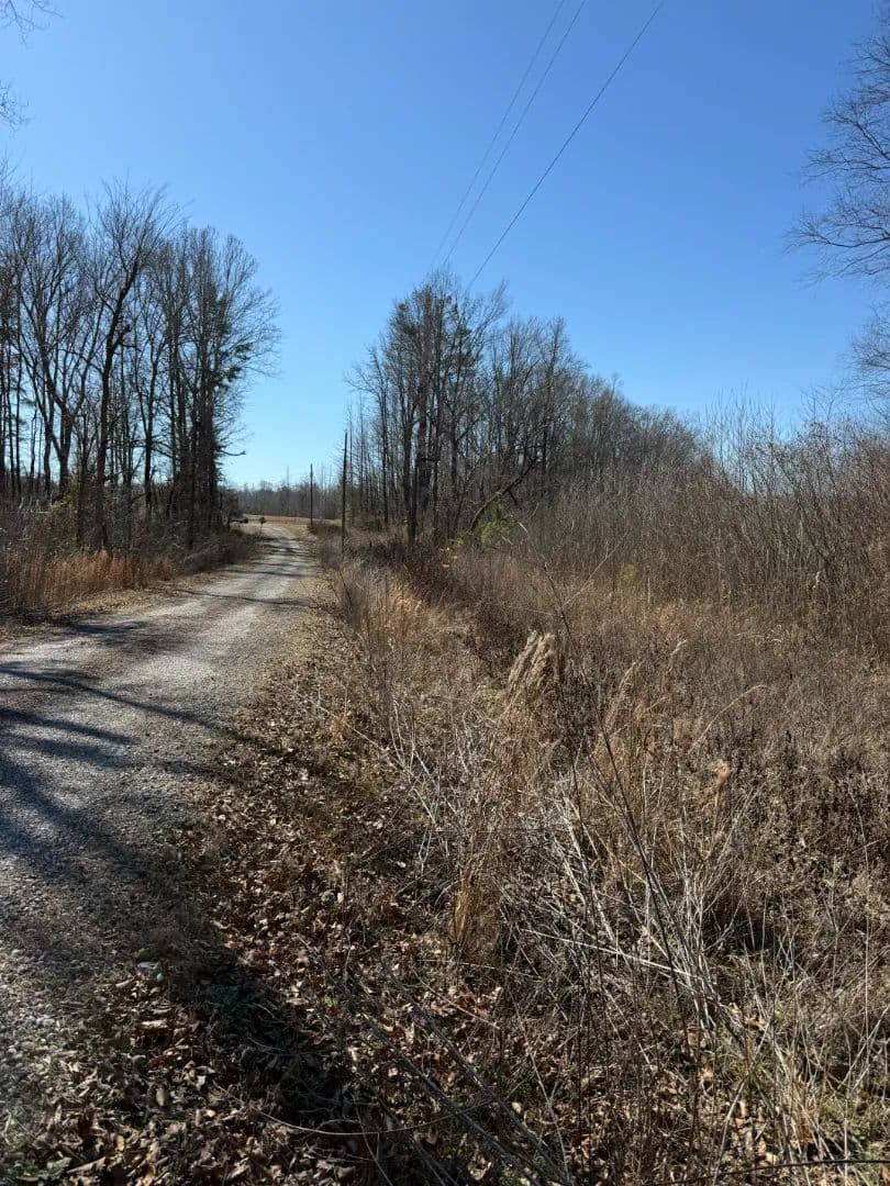 17.53 Acres in Prentiss County, MS 