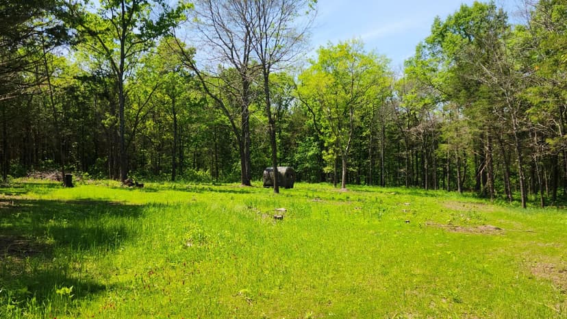 15 Acres in Hickory County, MO