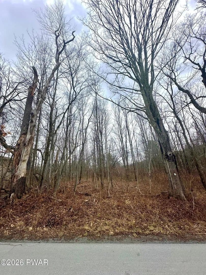 Lots & Land-Other in Jefferson Township - Pennsylvania, 18436