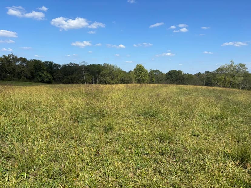 Vacant Land in Sparta