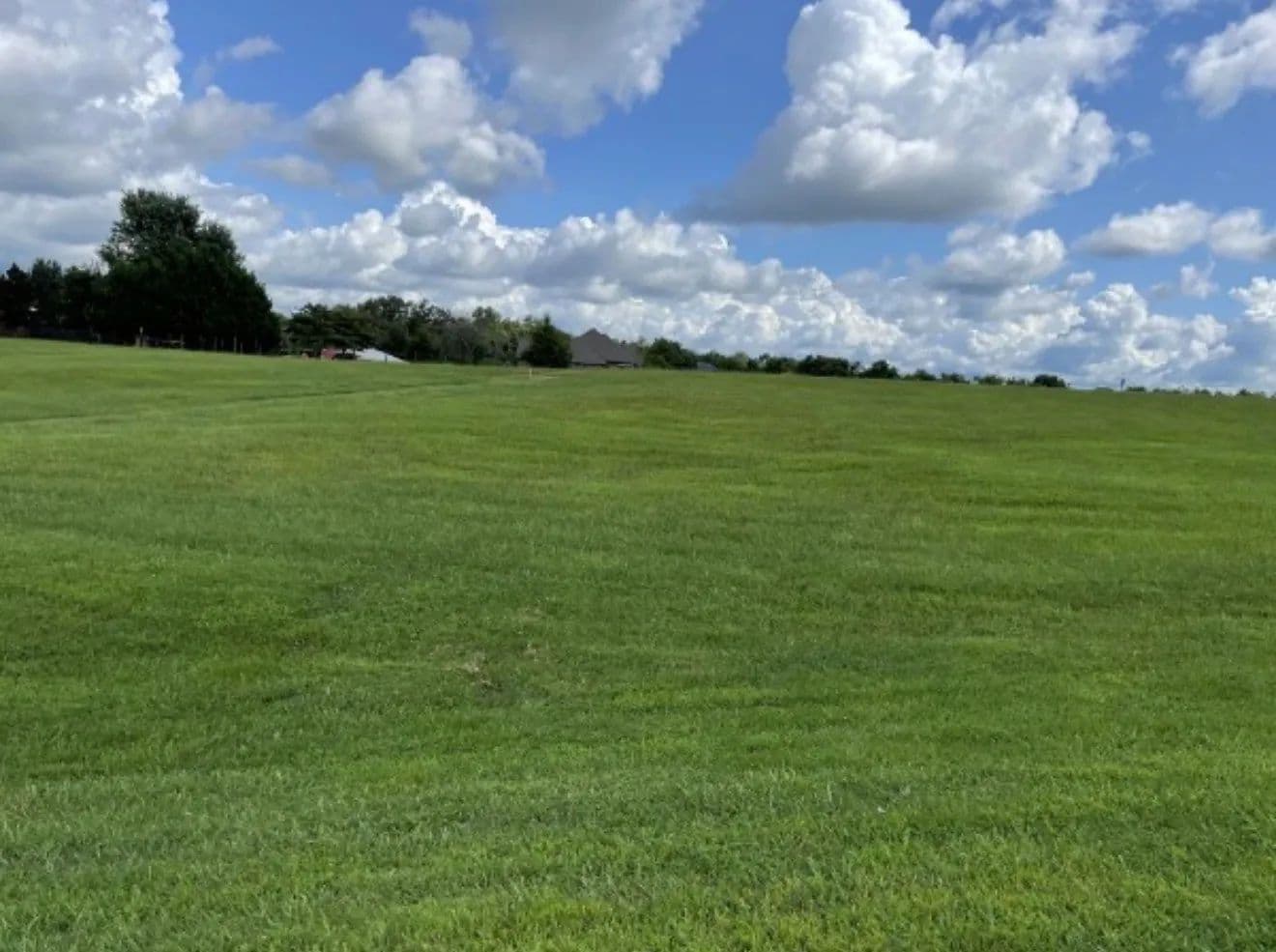 Vacant Land in Hillsboro - Hillsboro, Tennessee, 37342