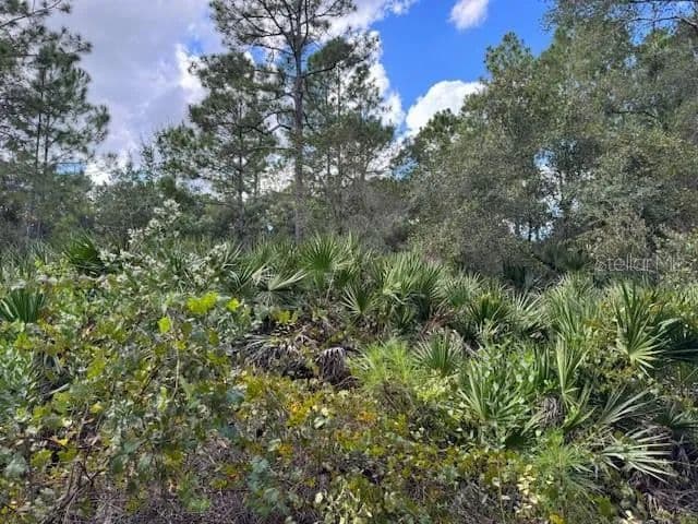Vacant Land in Deland - Deland, Florida, 32724