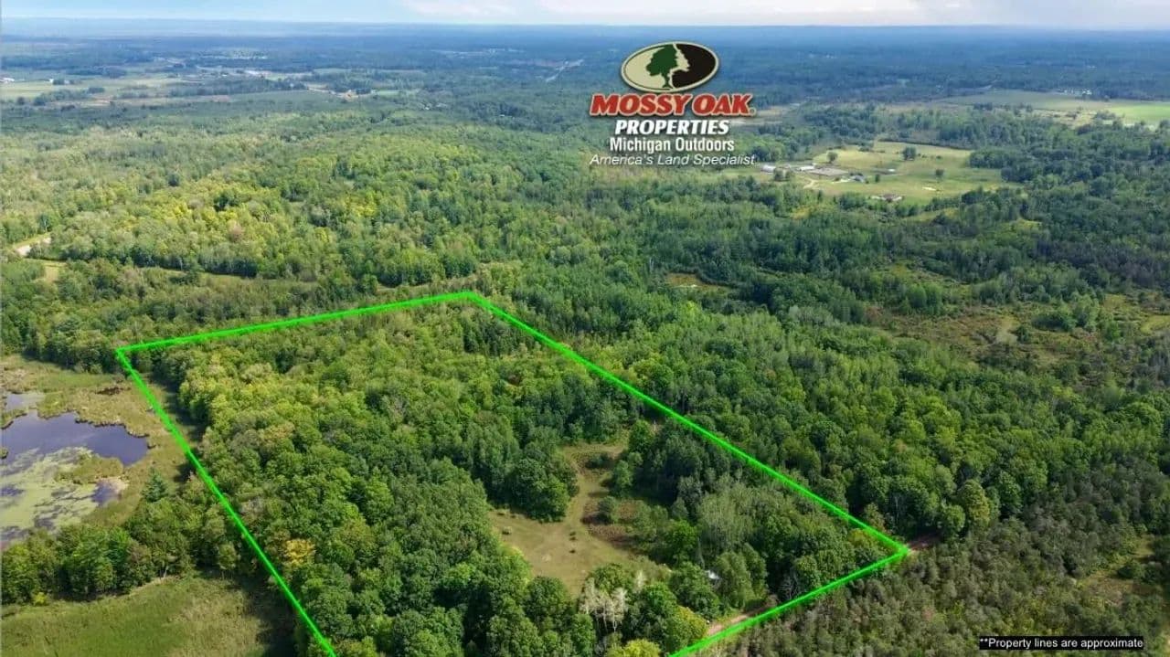 19.30 +/- Acres / Osceola County, MI / Off-Grid Deer Camp Cabin / Recreational Land For Sale - Marion, Michigan, 49665