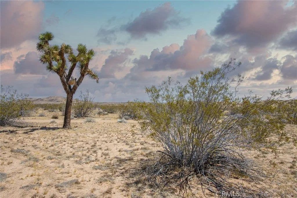 Lots & Land-Other in Joshua Tree - Joshua Tree, California, 92252