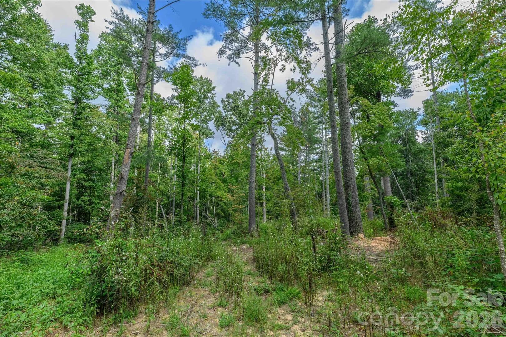 1.37 Acres of Land for Sale in Fletcher, NC - Fletcher, North Carolina, 28732
