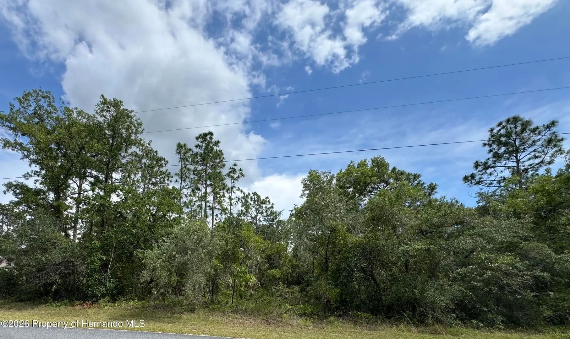 Property from Lot 5 Wood Owl Avenue - KW - Weeki Wachee, Florida, 34614