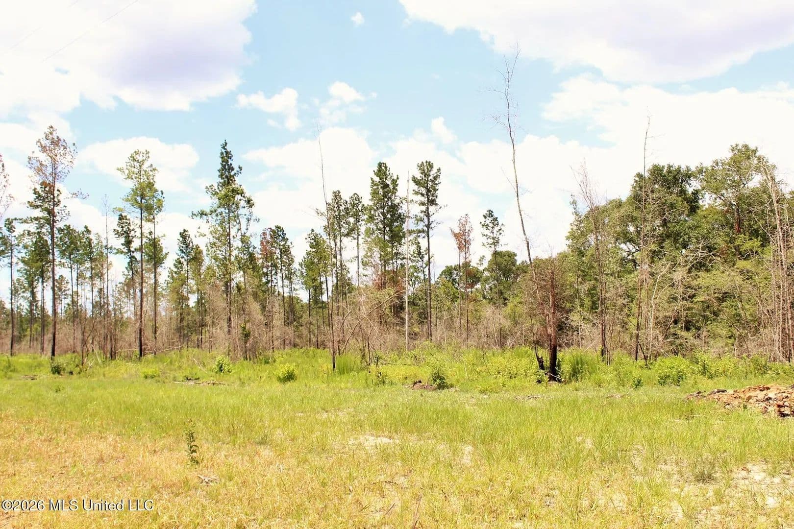 Lots & Land-Other in Lucedale - Lucedale, Mississippi, 39452