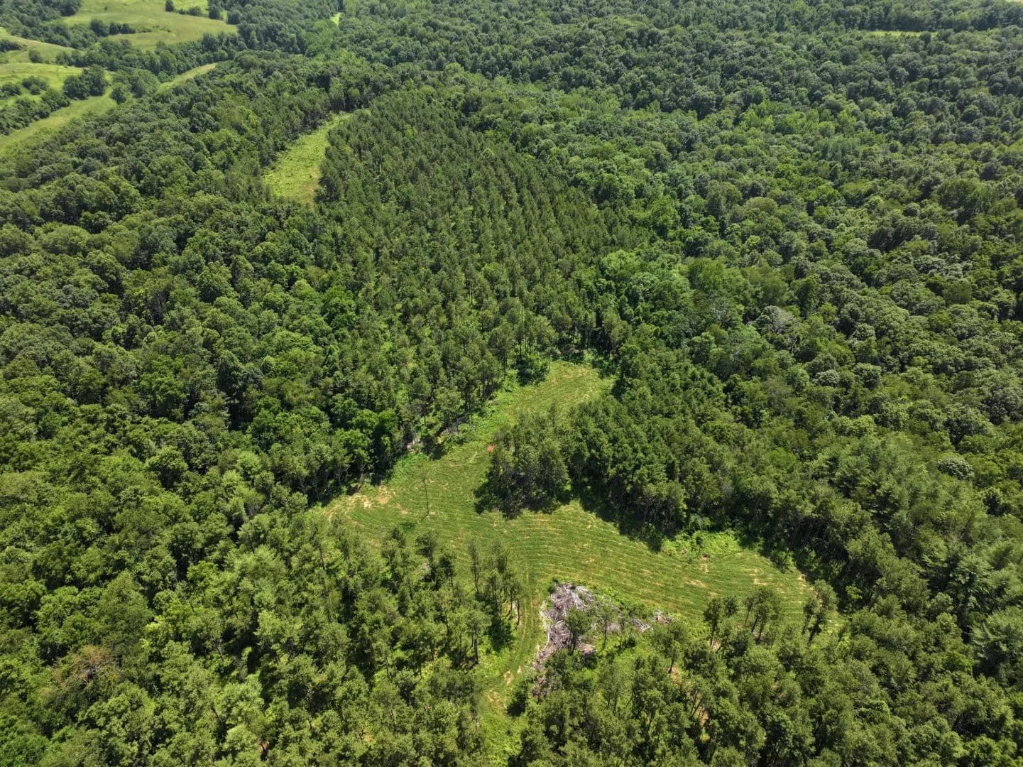 Ohio Hunting Land Auction - Mcconnelsville, Ohio, 43756