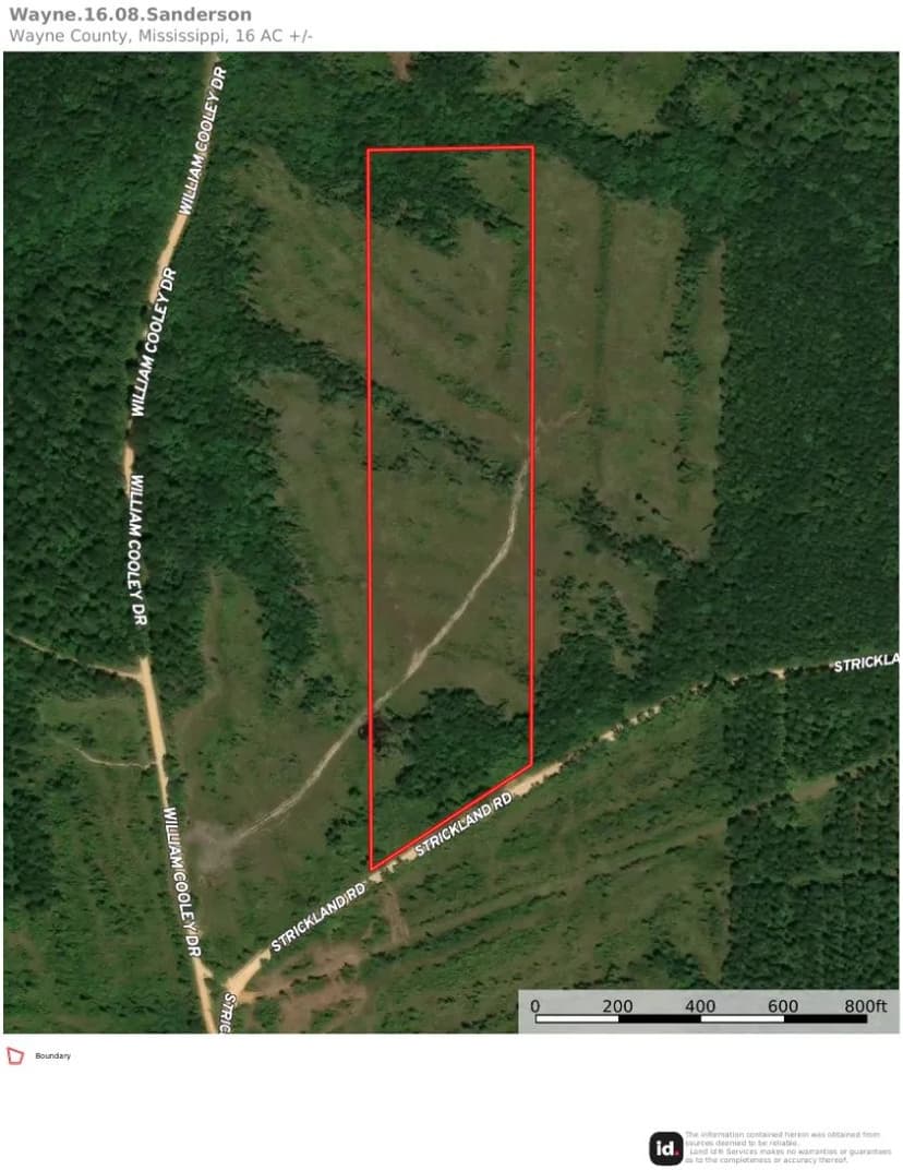 16.08 Acres in Wayne County, MS 
