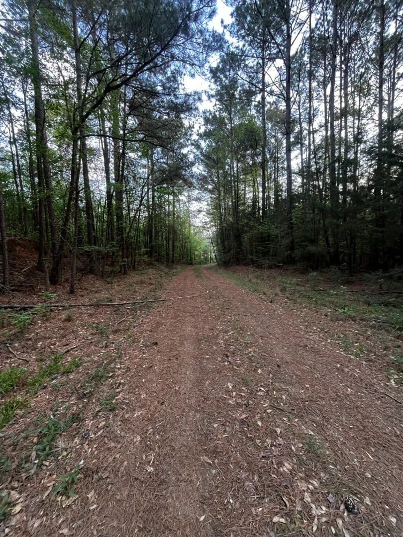 7 Acres in Union Parish, LA 