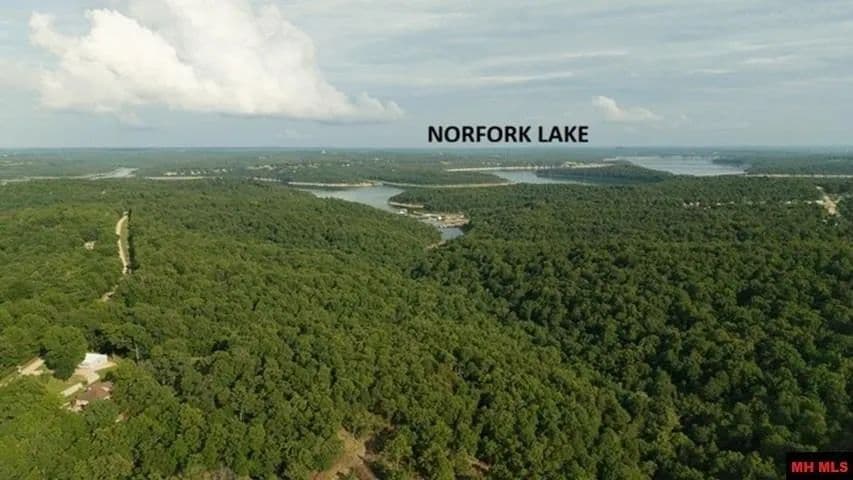 Lots & Land-Other in Gamaliel - Gamaliel, Arkansas, 72537