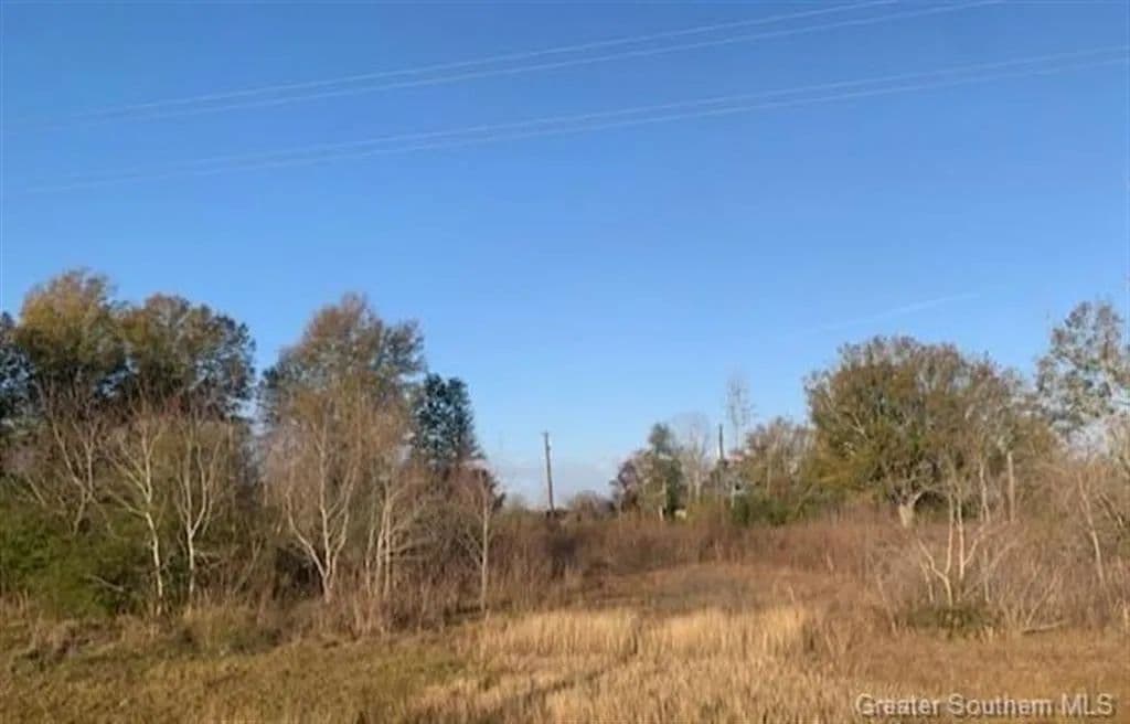 Vacant Land in Iowa - Iowa, Louisiana, 70647
