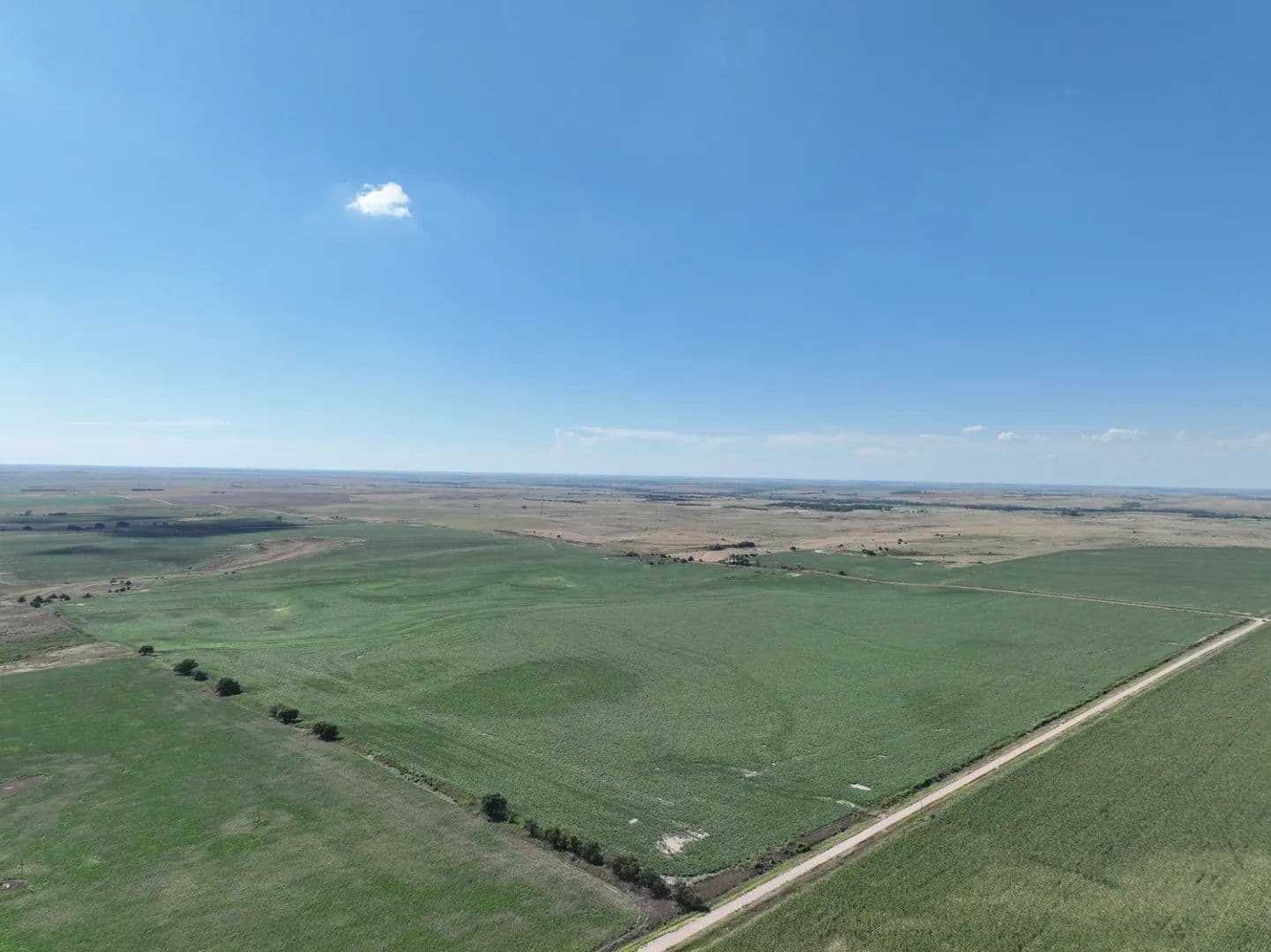 Grass and Dryland for Sale | 629+/- Acres | Rooks County, KS - Stockton, Kansas