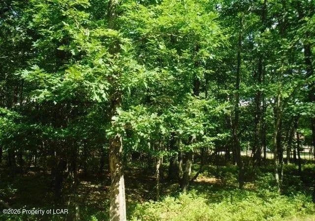 Lots & Land-Other in Hazle Twp - Pennsylvania, 18202