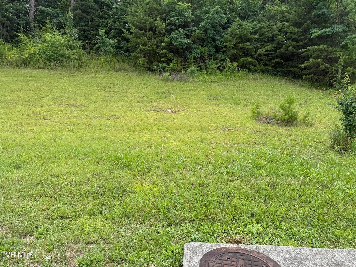 0.17 Acres of Land for Sale in Bristol, TN - Bristol, Tennessee, 37620