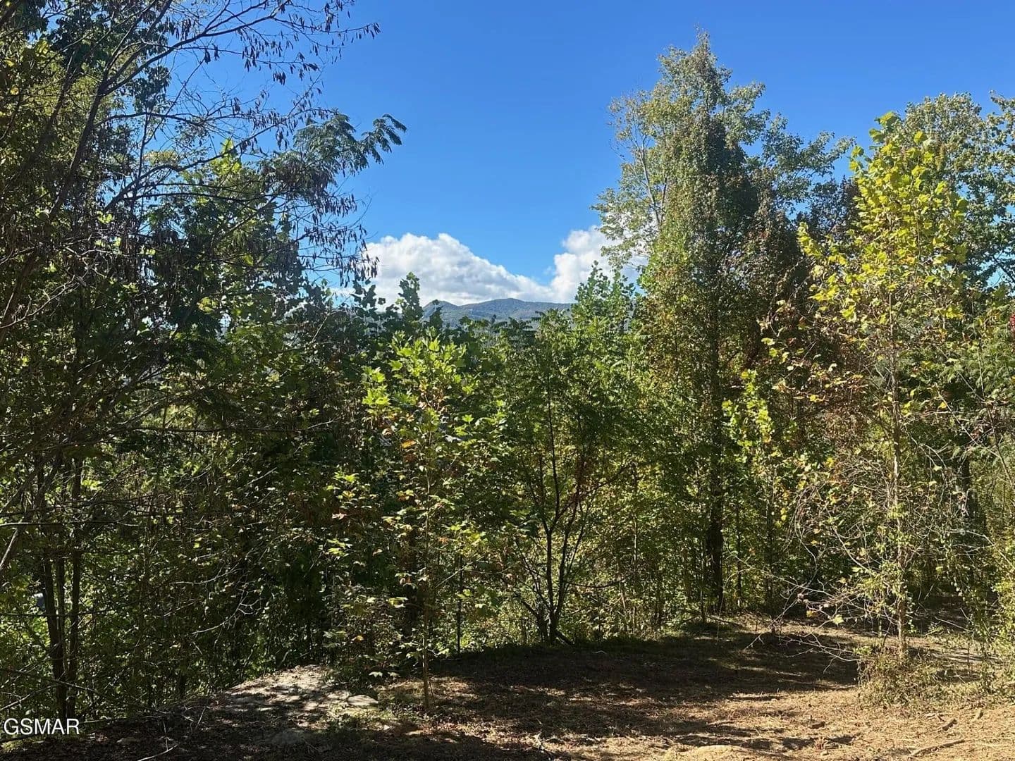Vacant Land in Sevierville - Sevierville, Tennessee, 37876