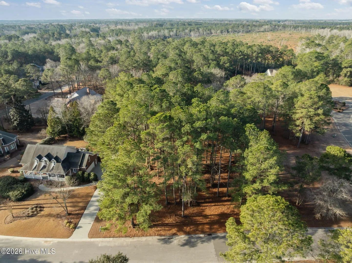 Vacant Land in Wallace - Wallace, North Carolina, 28466