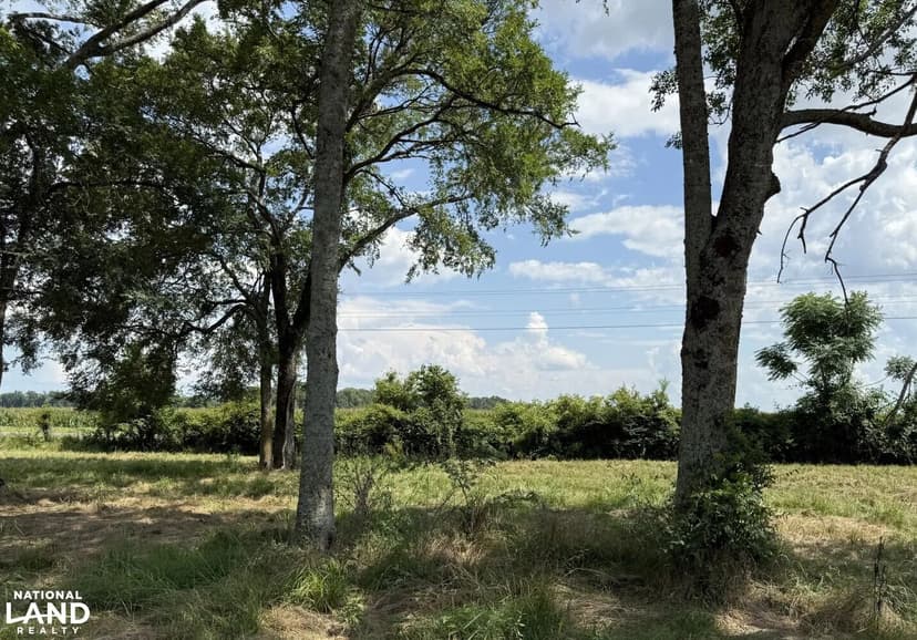 Beautiful 20 Acres Homeplace Pasture Setting
