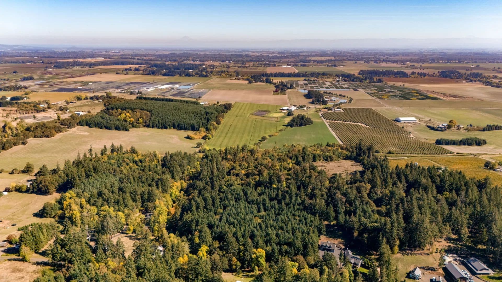 Willamette Valley Timber Property - Days Creek, Oregon, 97114