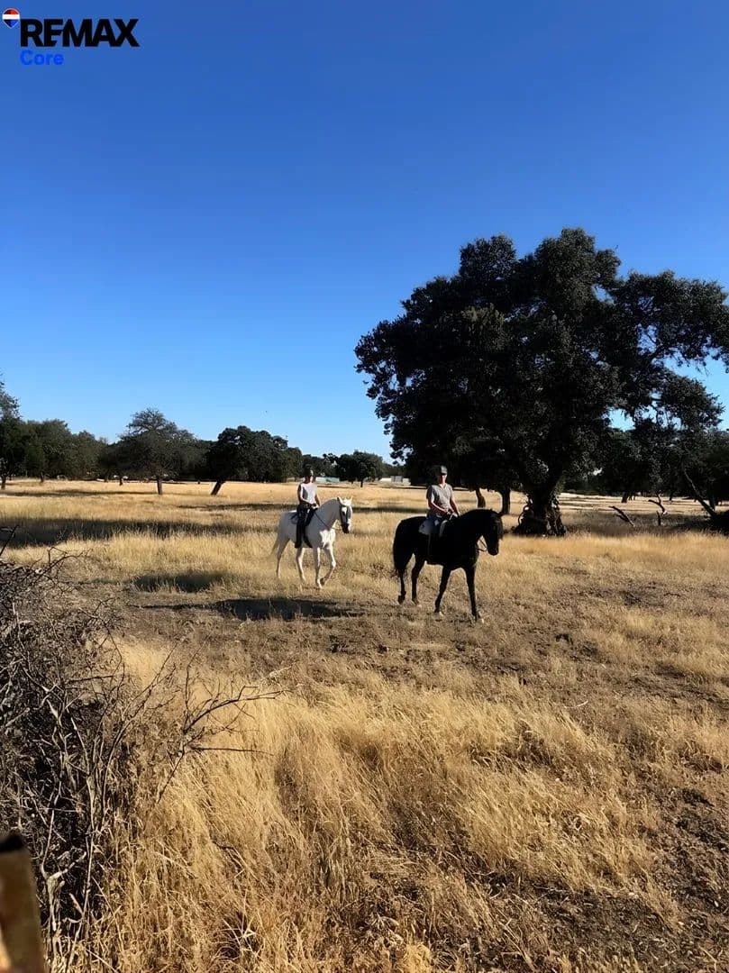 Land for Sale in Badajoz, 45 - land for sale