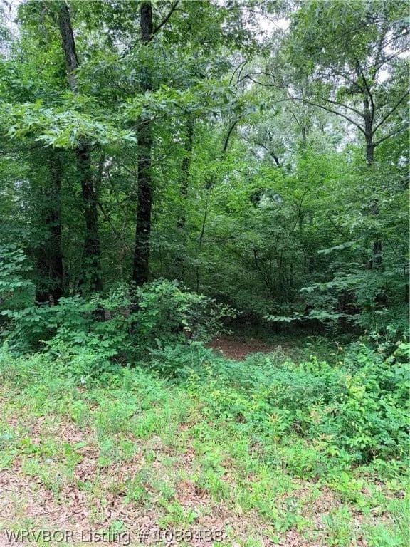 1 Acre of Land for Sale in Muldrow, Oklahoma - Muldrow, Oklahoma, 74948