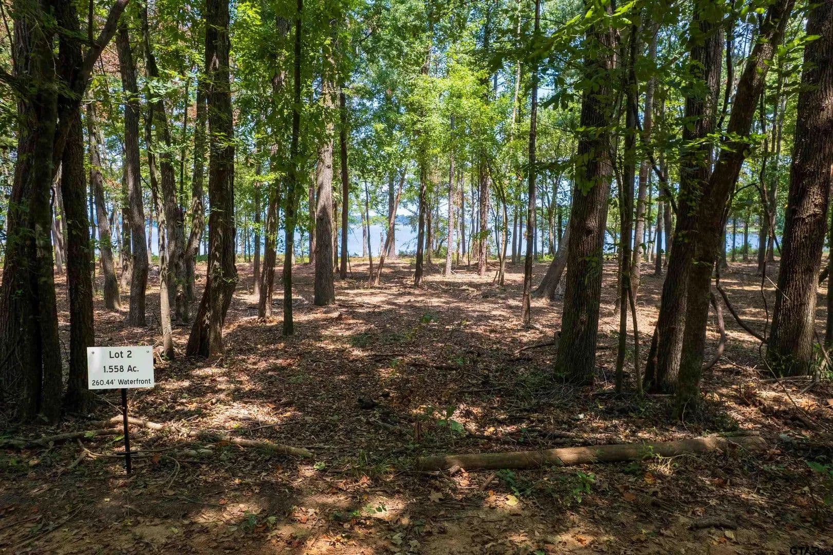 Vacant Land in Leesburg - Leesburg, Texas, 75451