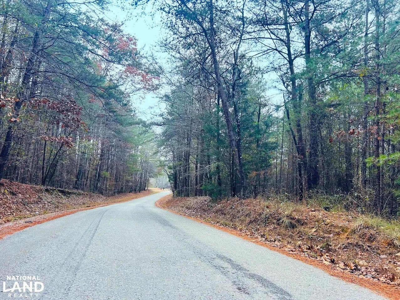 Hopeful Area Lot 1 - Munford, Alabama, 36268