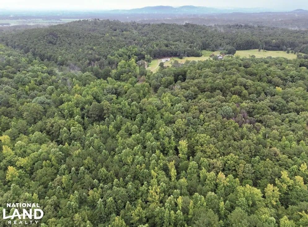 Hopeful Area Lot 1 - Munford, Alabama, 36268