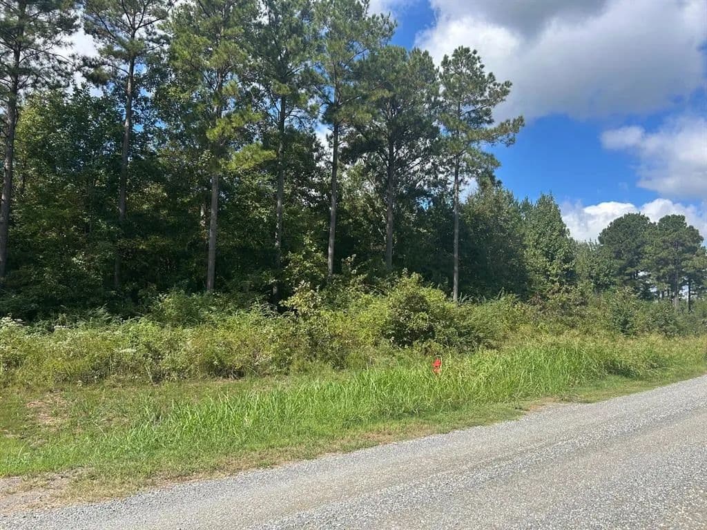 Vacant Land in Frierson - Frierson, Louisiana, 71027