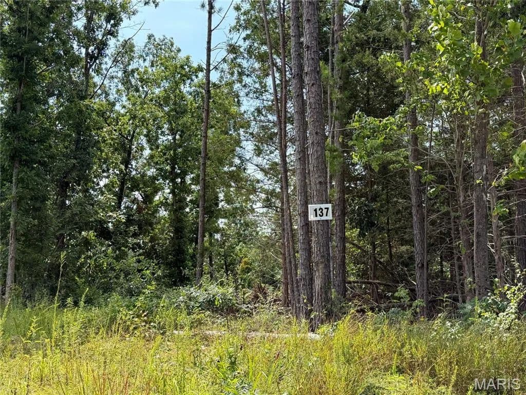 Lots & Land-Other in Fredericktown - Fredericktown, Missouri, 63645