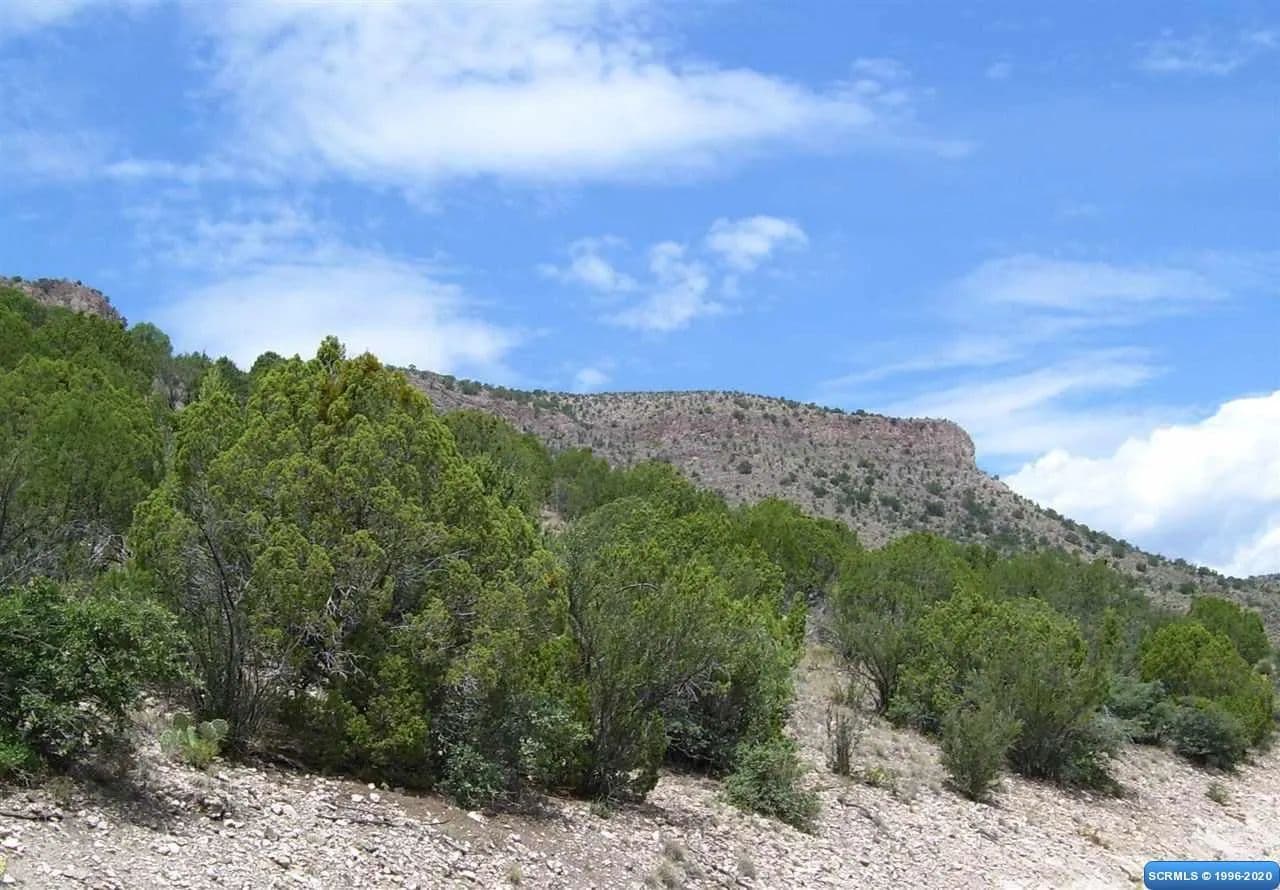 Vacant Land in Mimbres - Mimbres, New Mexico, 88049
