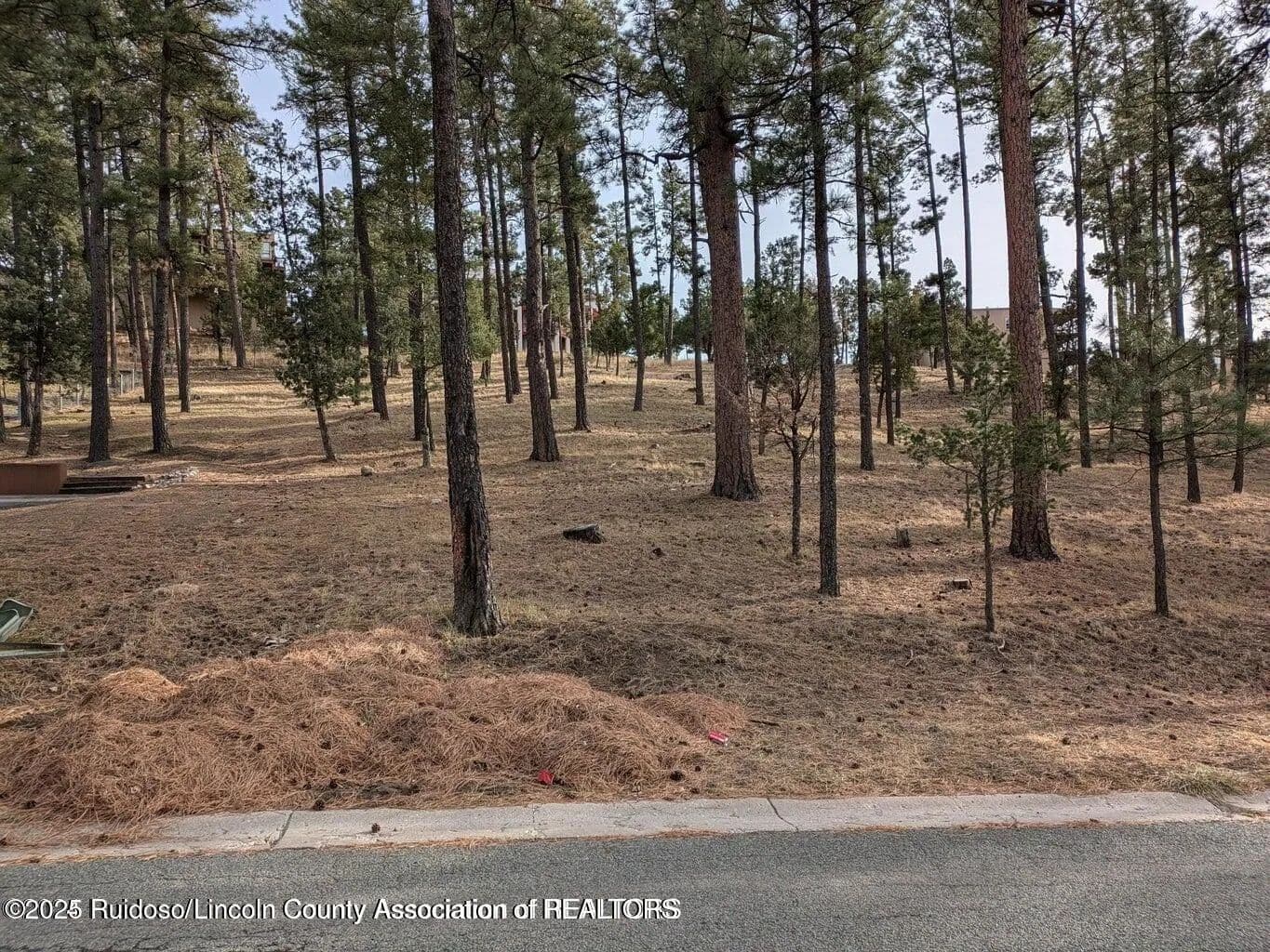 Land -Single Family Acreage in Ruidoso - Ruidoso, New Mexico, 88345