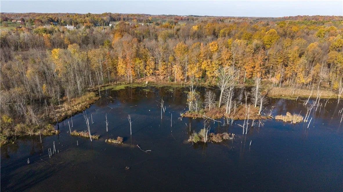 Lots & Land-Other in Walworth - Walworth, New York, 14568