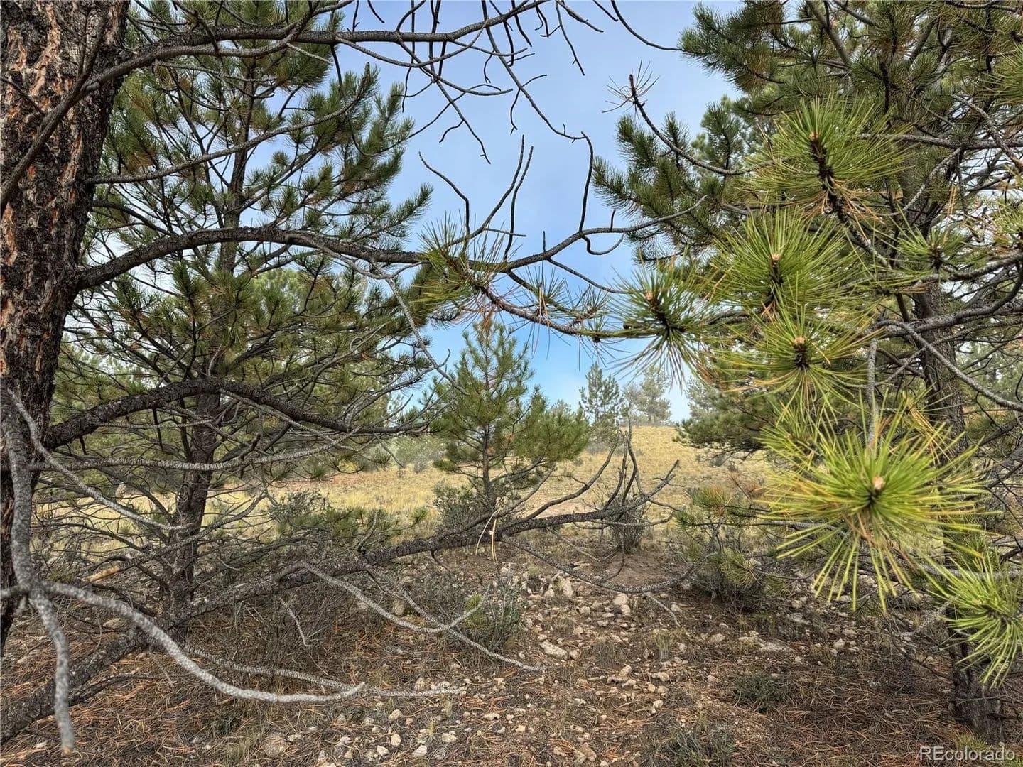 Lots & Land-Other in Hartsel - Hartsel, Colorado, 80449