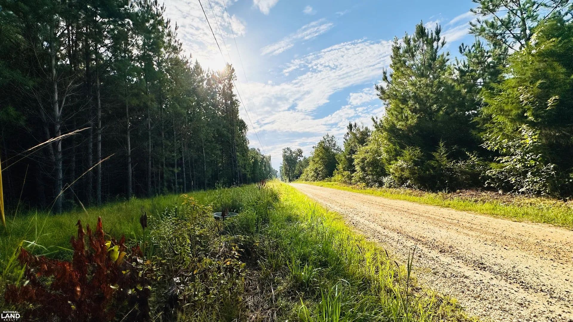 Chenault Drive Residential and Recreational Acreage - Saluda, South Carolina, 29138