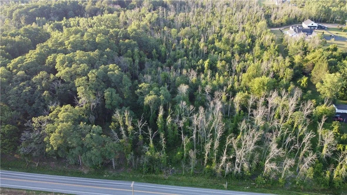 Lots & Land-Other in Webster - Webster, New York, 14580