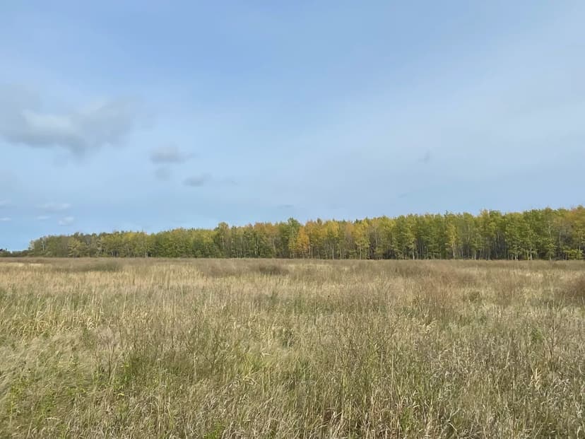 Vacant Land (10+ Acres) in Waskish