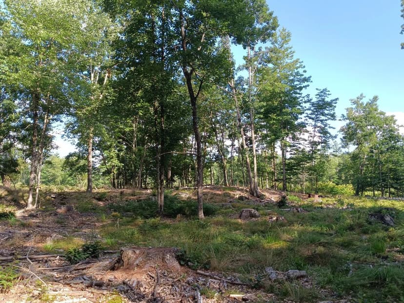 Vacant Land in Shapleigh