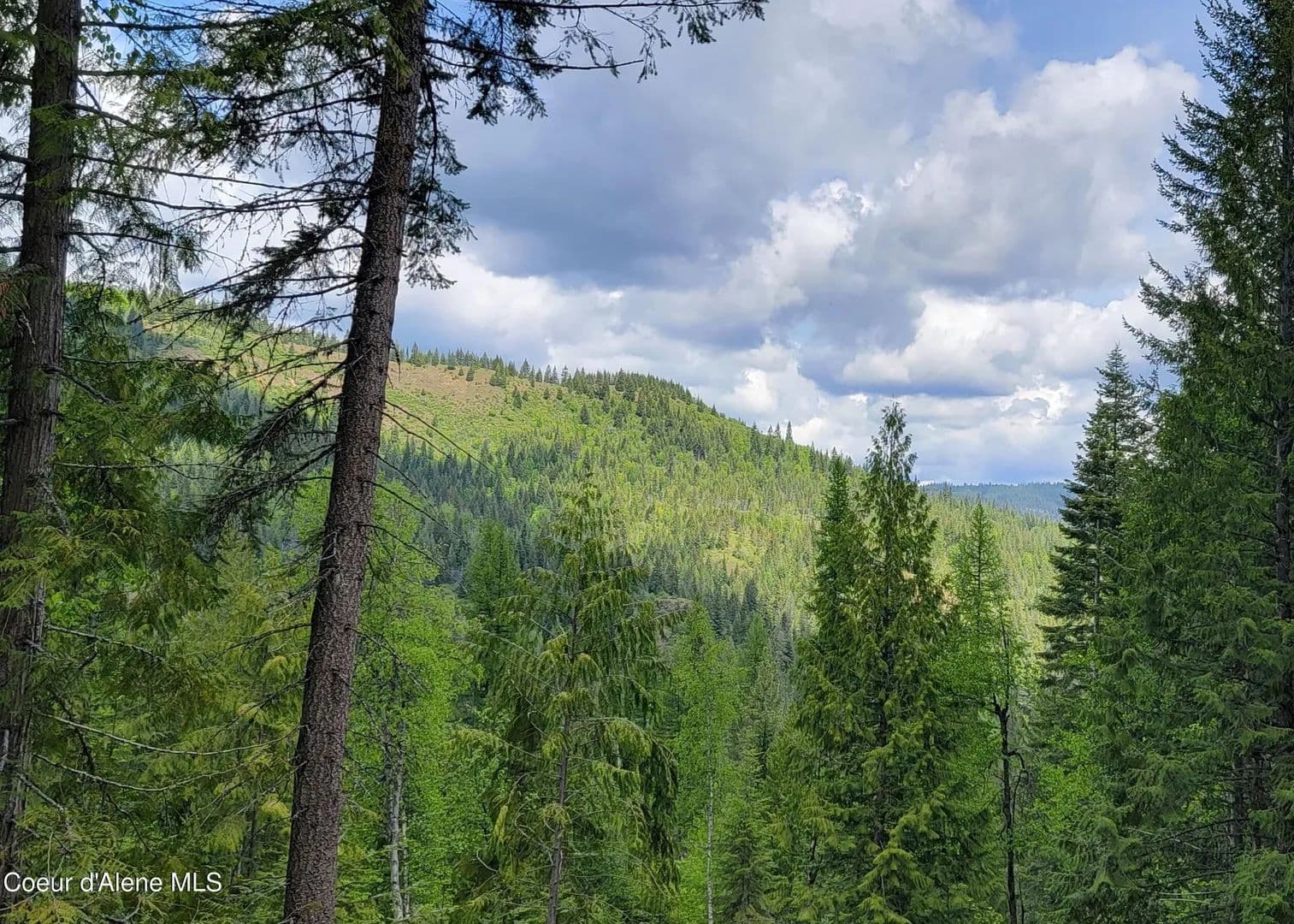 Property from NNA Pup Paw Trail - KW - Priest River, Idaho, 83856