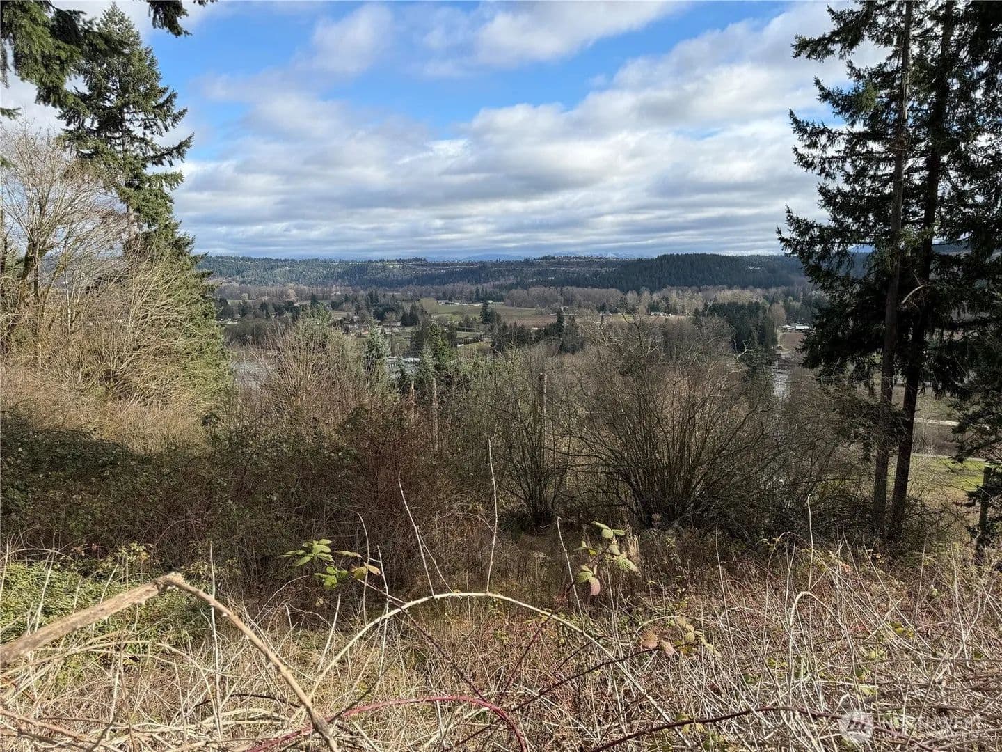 Lots & Land-Other in Puyallup - Puyallup, Washington, 98374