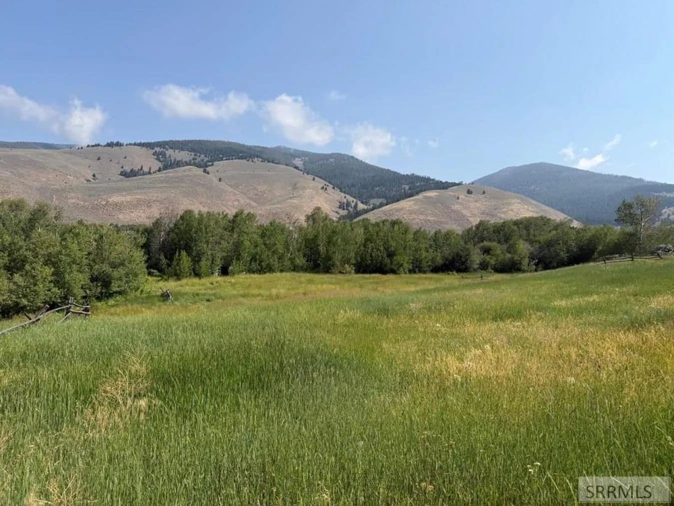 Sandy Creek Mountain Pasture - Salmon, Idaho, 83467