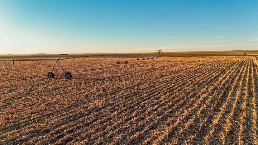 Dirks Irrigated/Dryland/Pasture Land Auction (Tract #3)