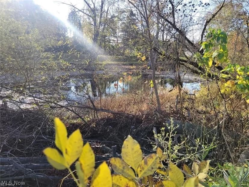 Lots & Land-Other in Elyria